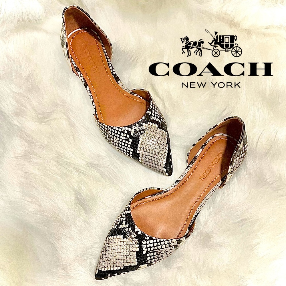 🔷COACH® Printed Exotic/Natural Pointy Toe Flat, Sz 7.5